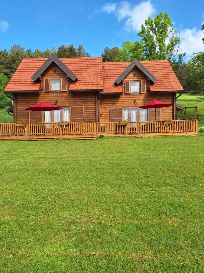 Planinske Kuce Good Night Villa Donji Babin Potok Екстериор снимка